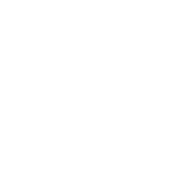 Vellum